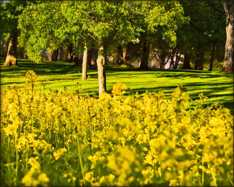 Vattenledningsparken